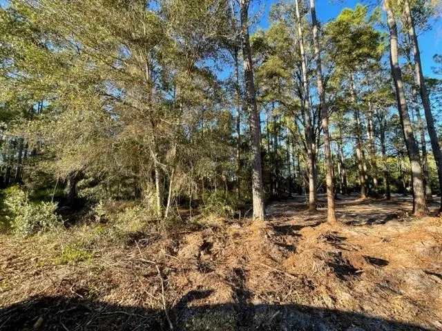 TBD NE 156th Lane, Fort McCoy, FL 32134 - Image #2