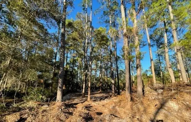 TBD NE 156th Lane, Fort McCoy, FL 32134 - Image #3