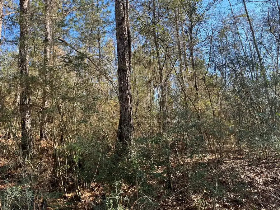 Lot197 W Woodland Drive, Lumberton, MS 39455 - #2