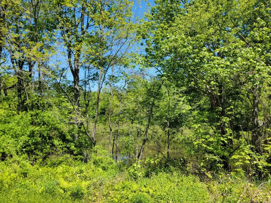 1244 Gary Moore Road, Otis, ME 04605 - #3