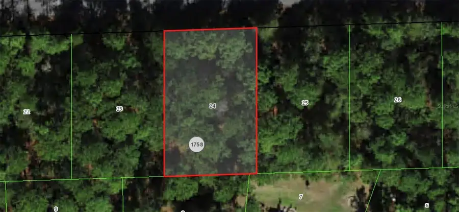 864 W Bannister Drive, Citrus Springs, FL 34434 - #3