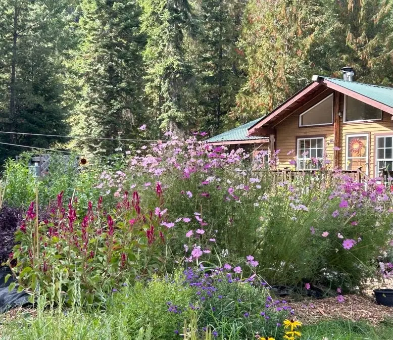 633 Old Mill Rd, Sandpoint, ID 83864 - Image #2