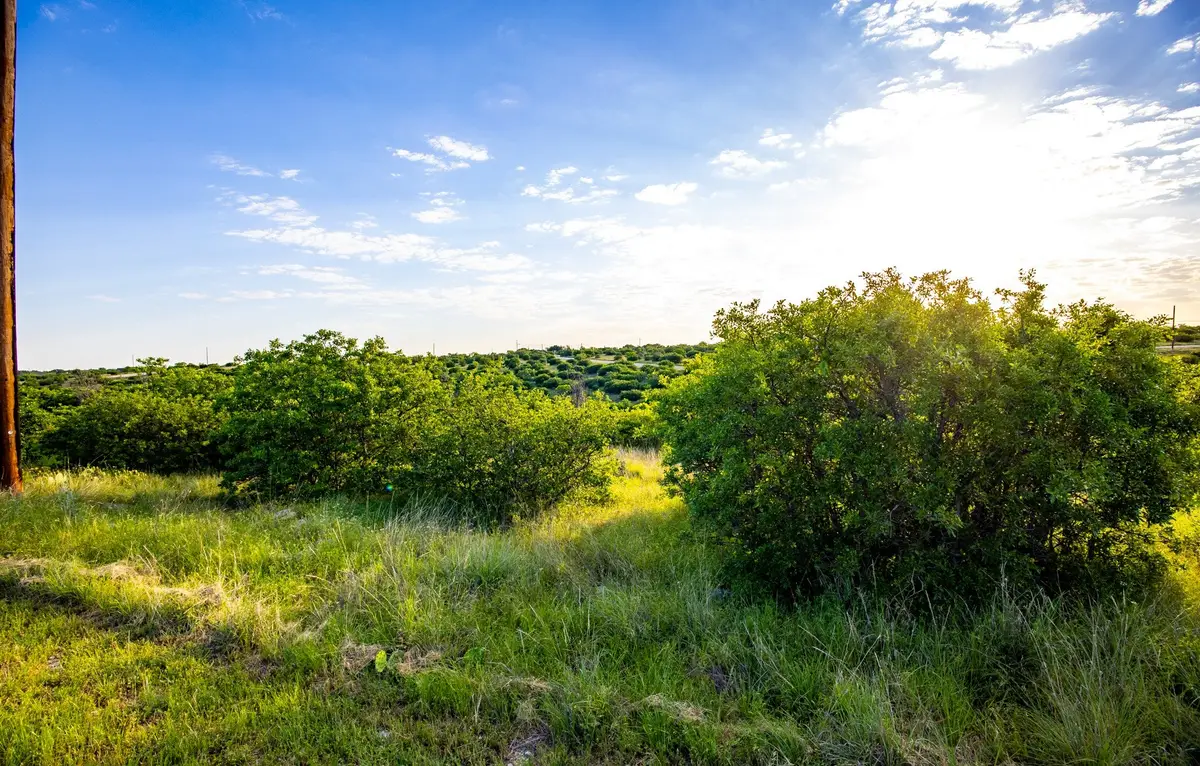 Lot 42 Royal Aberdeen Court, Possum Kingdom Lake, TX 76449 - Image #1