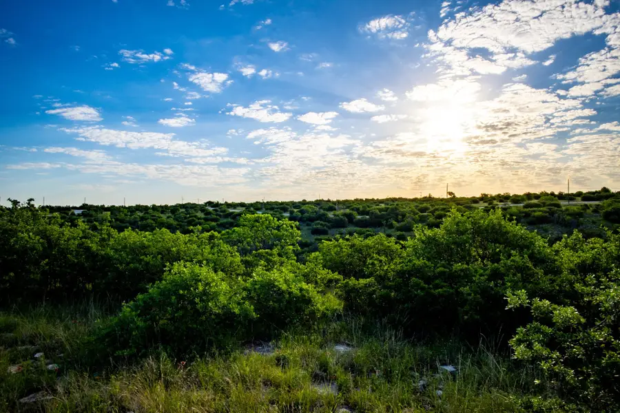 Lot 42 Royal Aberdeen Court, Possum Kingdom Lake, TX 76449 - Image #2