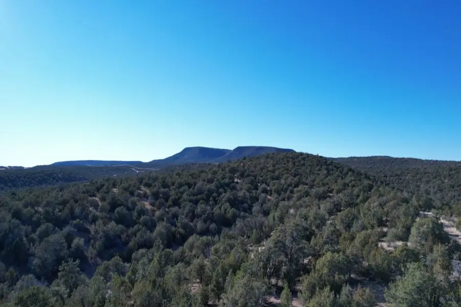 51804 N Cordero Road, Seligman, AZ 86337 - #2