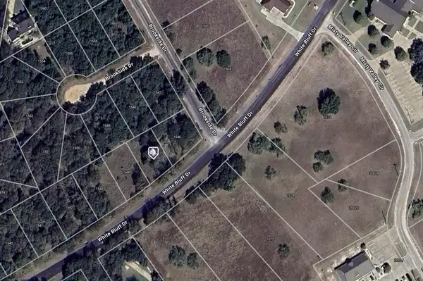 1545 White Bluff Drive, Whitney, TX 76692