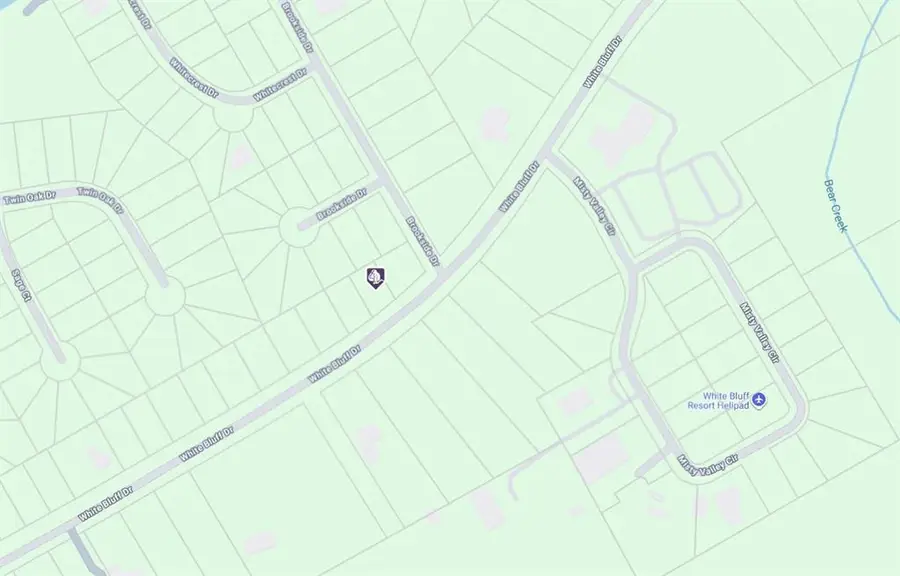 1545 White Bluff Drive, Whitney, TX 76692 - Image #3