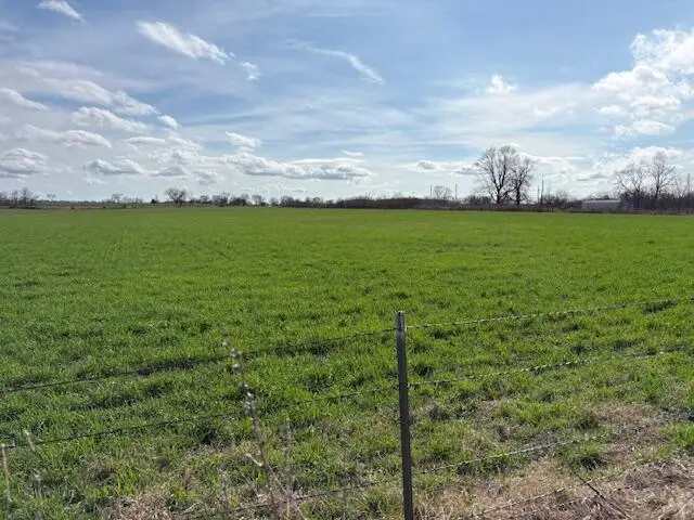 Tract 6 000 Lawrence 1220, Marionville, MO 65705 - #2