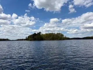 TBD Rush Lake | Whitefish Chain Islands, Cross Lake, MN 56442