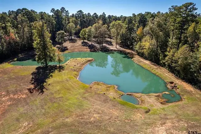 15198 E FM 16, Winona, TX 75792 - #2