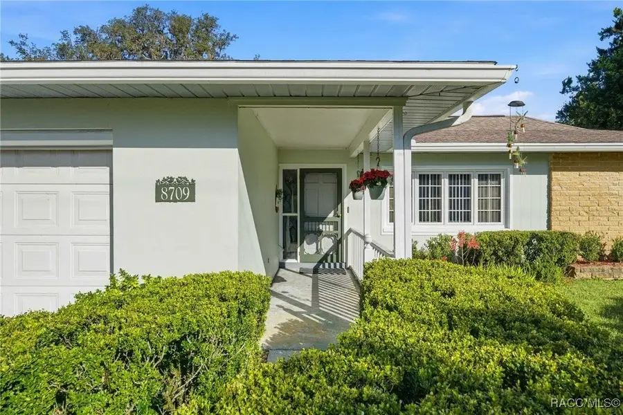 8709 E Sandpiper Drive, Inverness, FL 34450 - Image #3