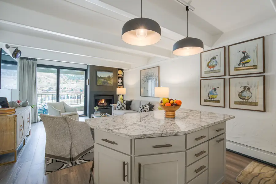 220 E La Bonte Street #231, Dillon, CO 80435 - #3