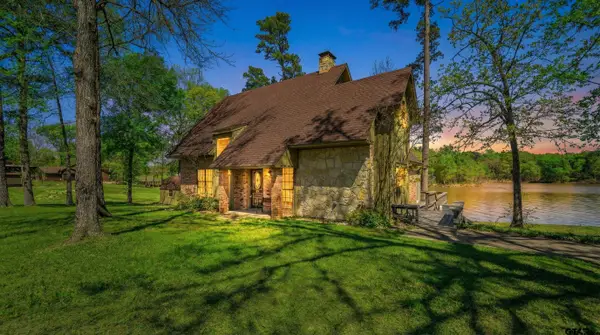 343 County Road 2938 N, Pittsburg, TX 75686