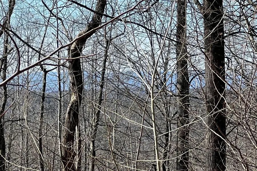 521 Timber Rock Drive #521, Patterson, NC 28604 - #2