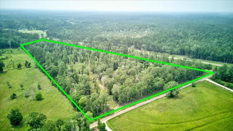 254 County Road 3063, Kirbyville, TX 75956 - #3