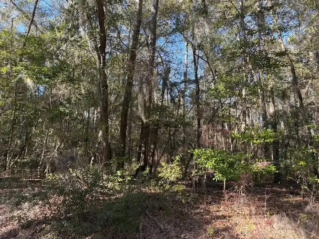 0 Trade Hill Road, Midway, GA 31320 - #1