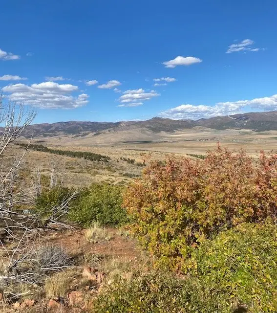 .5 Acres Jimmy Drive, Glencoe, AL 35905 - Image #1