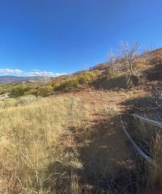 .5 Acres Jimmy Drive, Glencoe, AL 35905 - Image #2