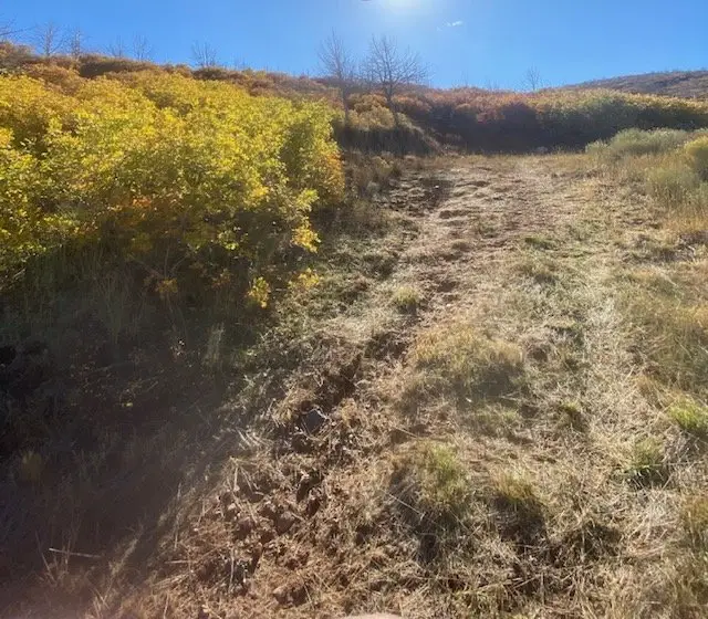 .5 Acres Jimmy Drive, Glencoe, AL 35905 - Image #3