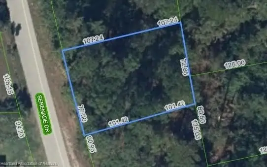 205 Serenade Drive, Lake Placid, FL 33852 - #2