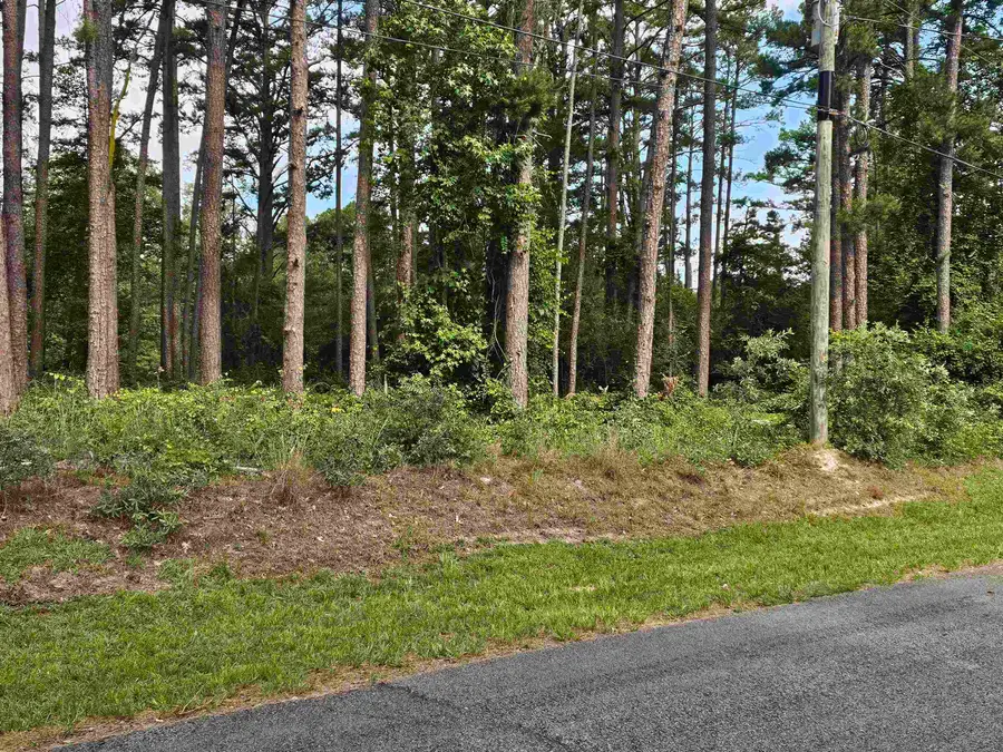 TBD Green Meadow Trail (Lot 140), Holly Lake Ranch, TX 75765 - #2