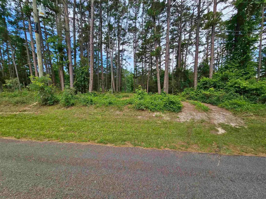 TBD Green Meadow Trail (Lot 140), Holly Lake Ranch, TX 75765 - #3