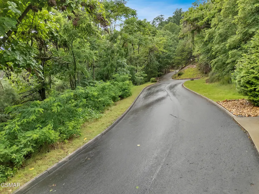 9097 Paradise View Drive, Mooresburg, TN 37811 - #2
