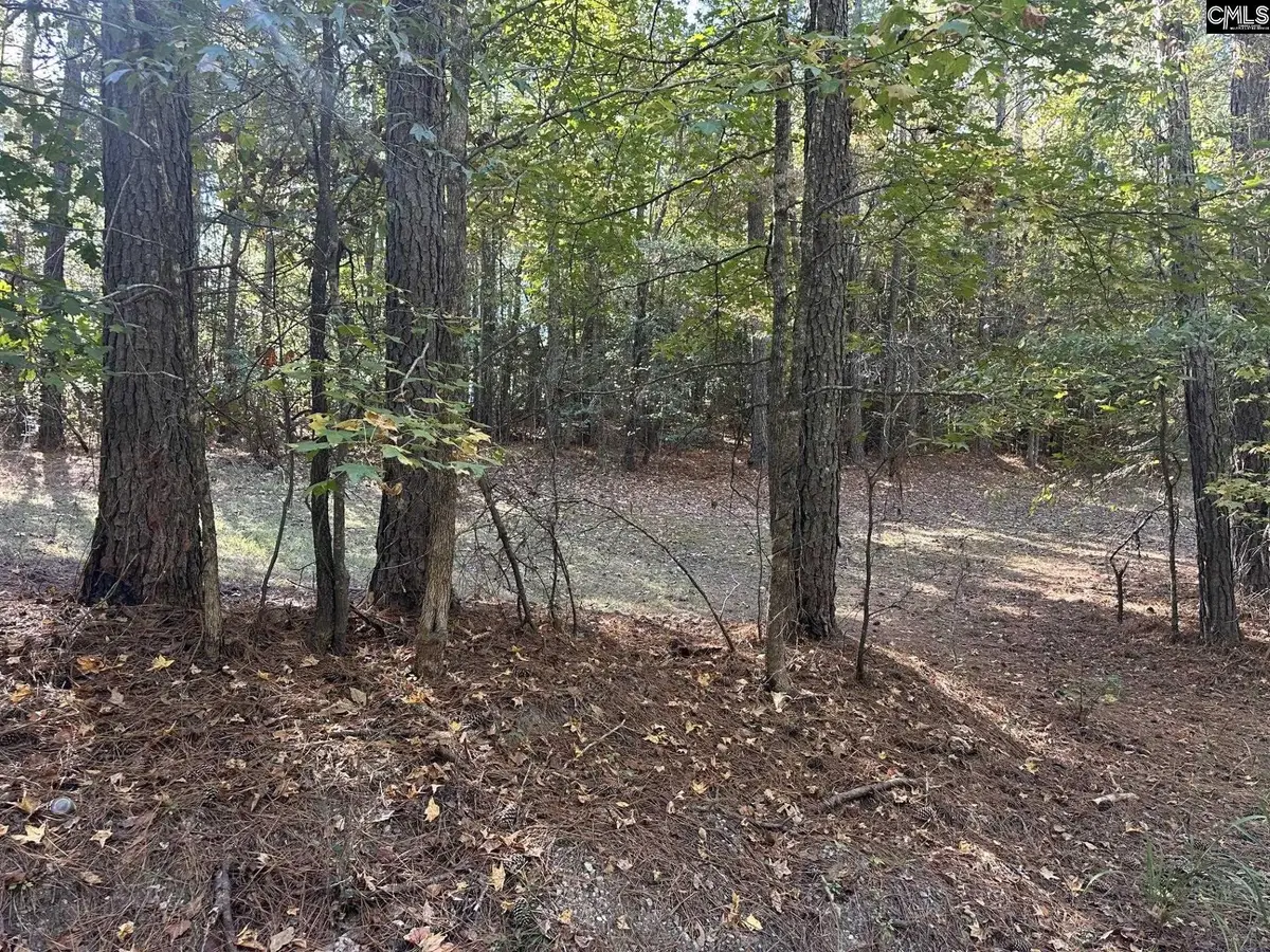 00 Douglas Road, Pomaria, SC 29126 - Image #1