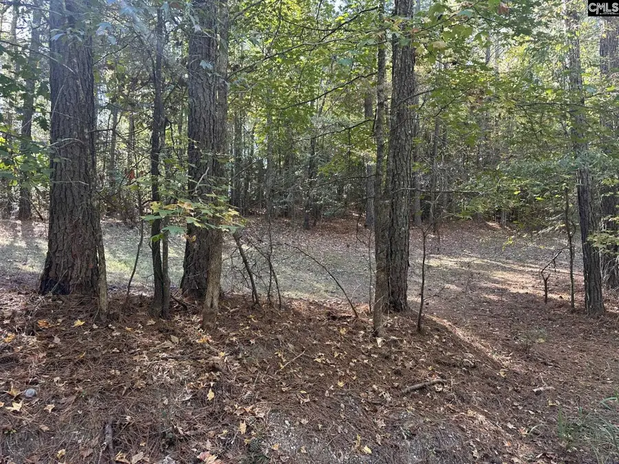 00 Douglas Road, Pomaria, SC 29126 - Image #2