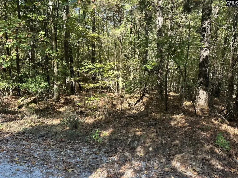 00 Douglas Road, Pomaria, SC 29126 - Image #3