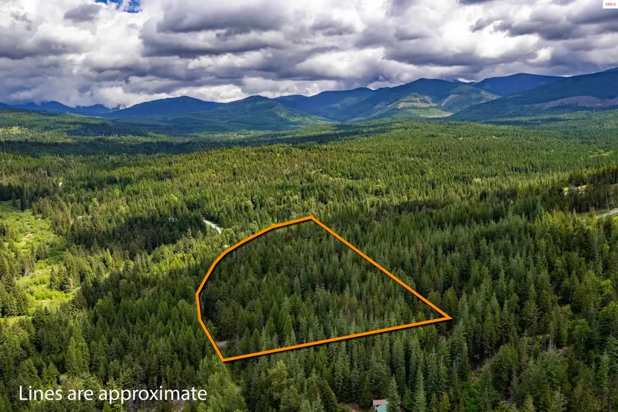 40 Laid Back DR, Sandpoint, ID 83864 - #3