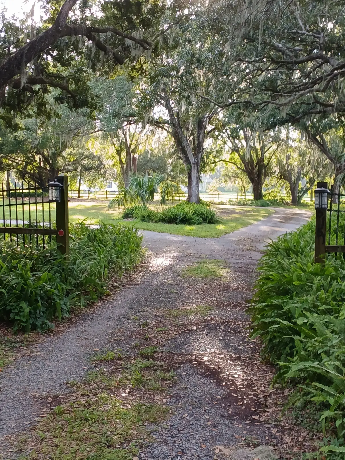 5151 Shakespeare Drive, Dover, FL 33527 - Image #1