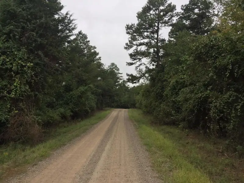 95 Eagles Nest, Cr 1788, London, AR 72847 - #2