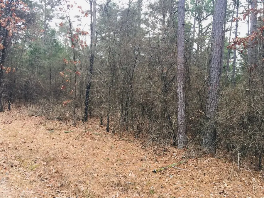 95 Eagles Nest, Cr 1788, London, AR 72847 - #3