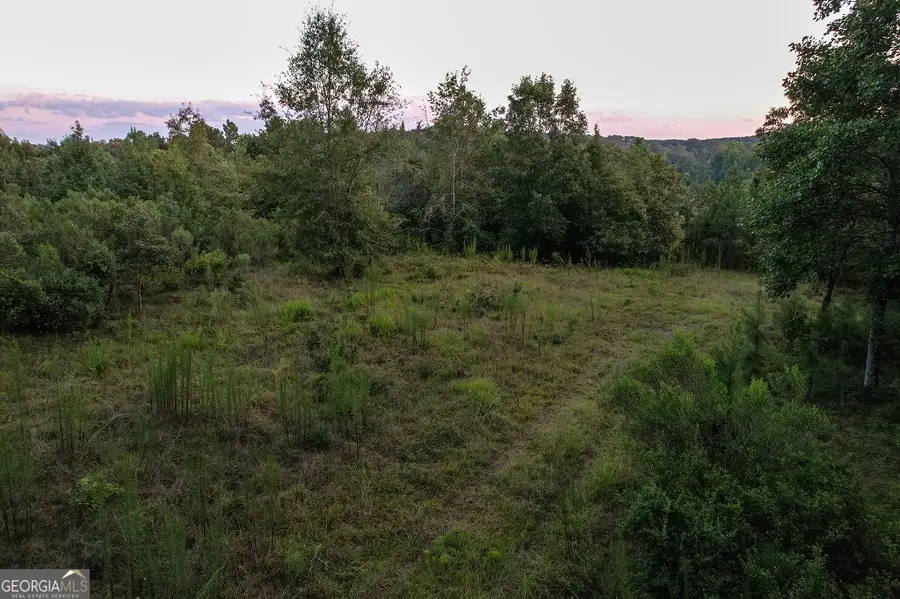 2660 Parham Town Road, Bowman, GA 30624 - Image #3