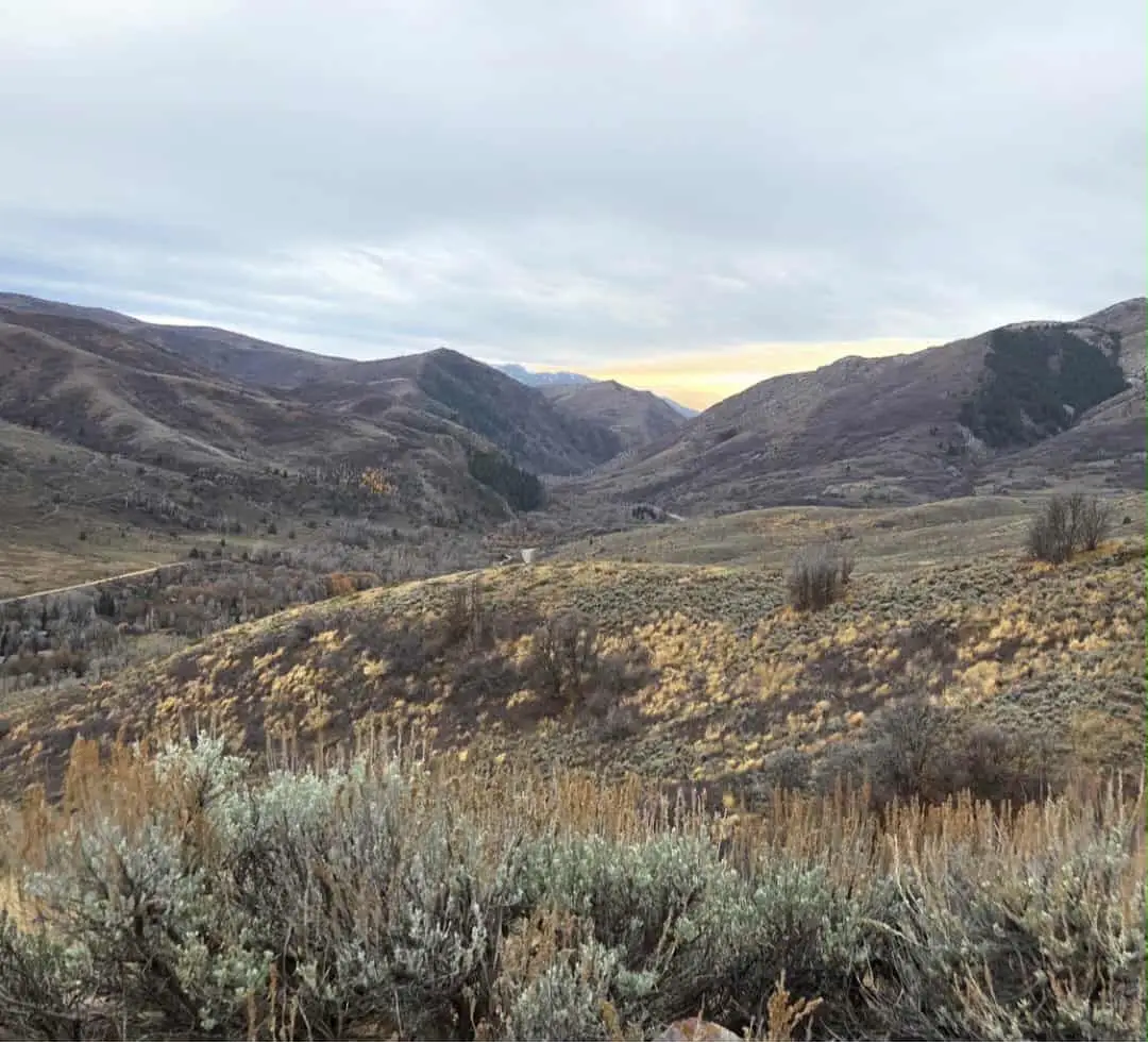 12898 E High Pine Cir #176, Huntsville, UT 84317 - Image #1