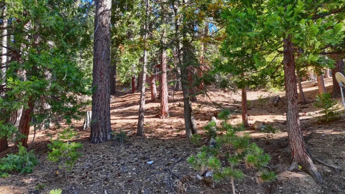 7232 Yosemite Park, Yosemite West, CA 95389 - Image #1