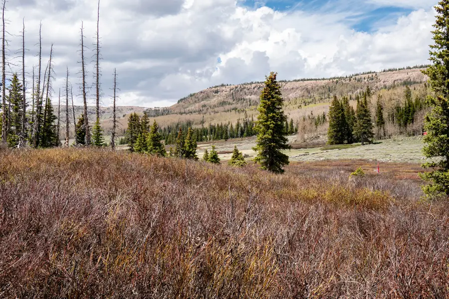 1913 E 2175 #3 Lots totaling 2.48 Acres, Brian Head, UT 84719 - #3