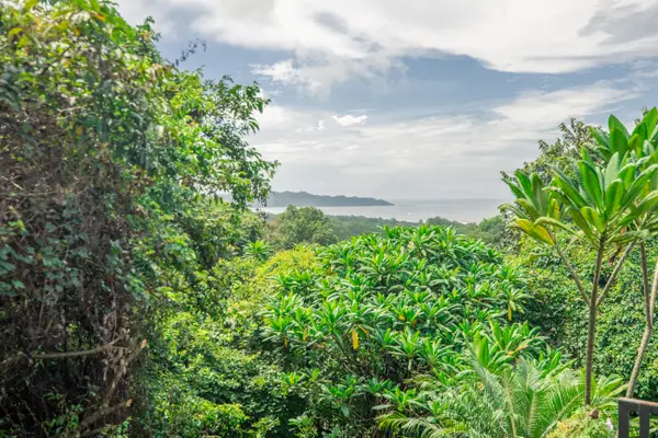 Calvache, RINCON, PR 00677