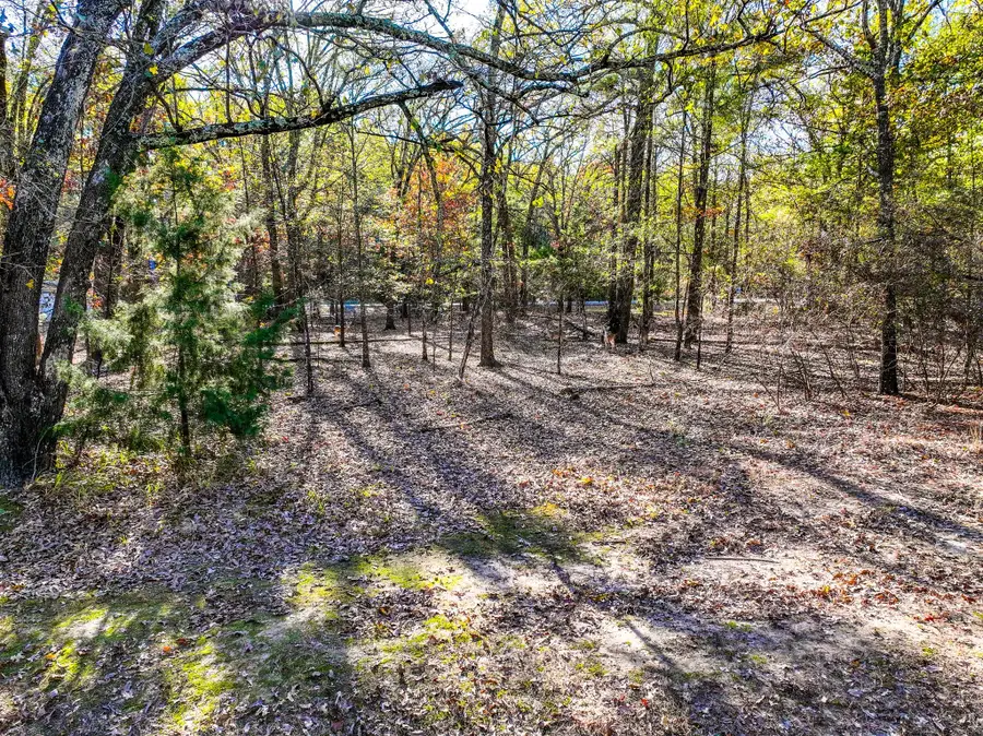 Lot 17 Sweet Gum Lane, Mount Vernon, TX 75457 - #3