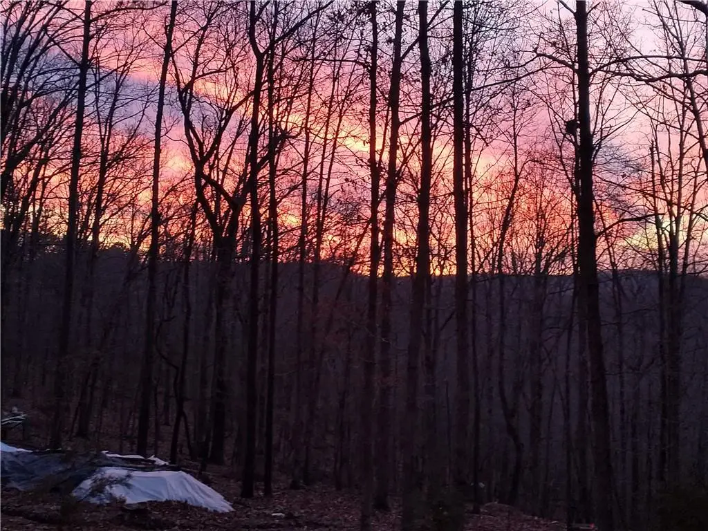 391 County Road 1486, Eureka Springs, AR 72632 - #1