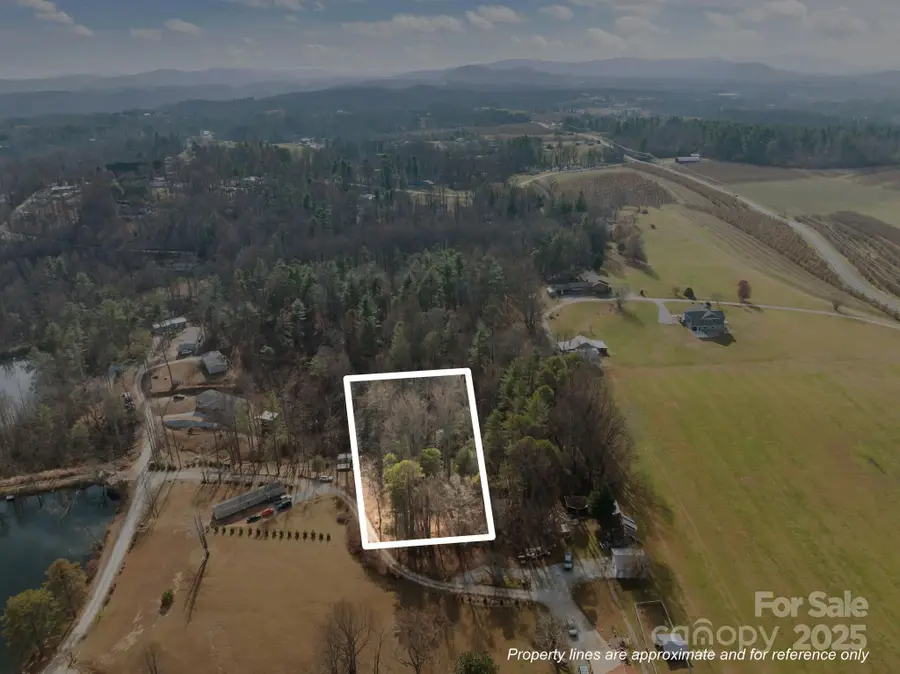 99999 Twin Lakes Drive, Hendersonville, NC 28792 - #2