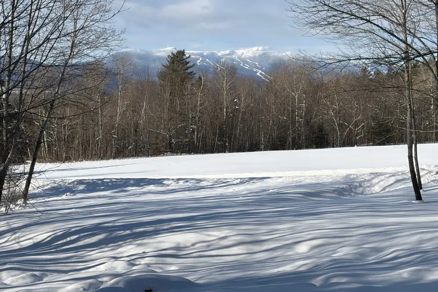 88 Upper Hollow Hill Road, Stowe, VT 05672 - #2