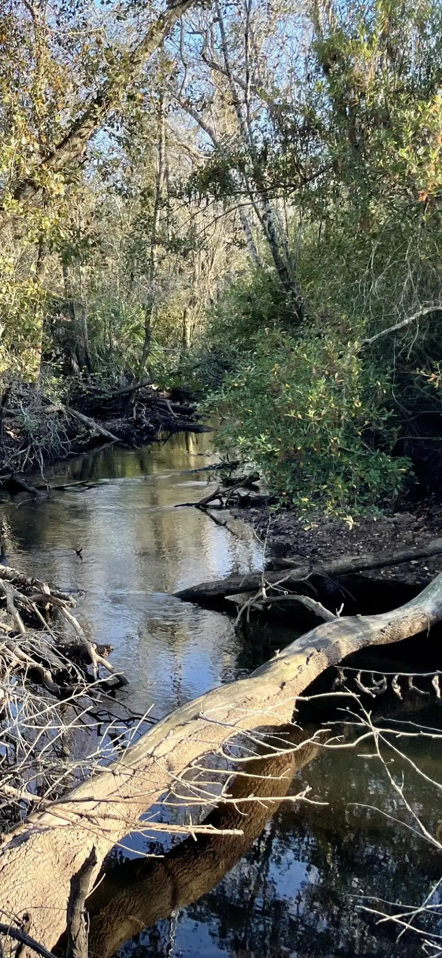 11036 Dartmouth Place, Panama City, FL 32404 - Image #2