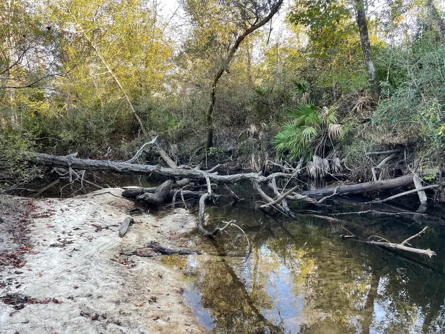 11036 Dartmouth Place, Panama City, FL 32404 - Image #3