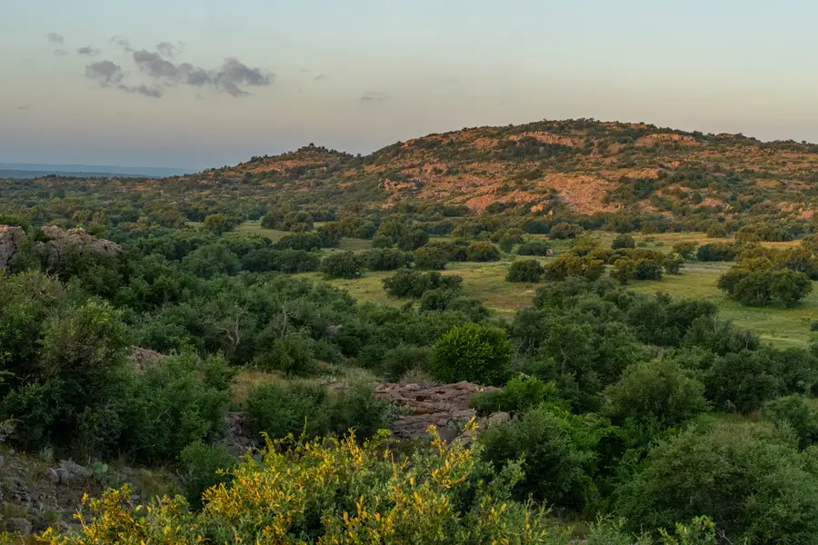 7484 County Rd 409, Valley Spring, TX 76885 - #3
