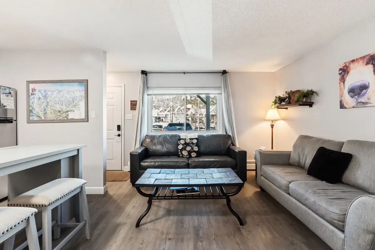 412 S Main Street #113, Breckenridge, CO 80424 - #1