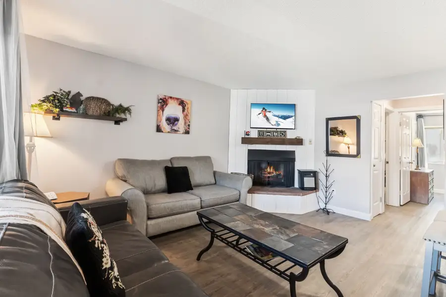 412 S Main Street #113, Breckenridge, CO 80424 - #3