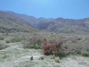 0 Helen Ave, Cabazon, CA 92230 - Image #1