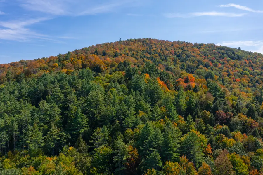 00 Howe Hill Road #Lot 1 & 2, Sharon, VT 05068 - #3